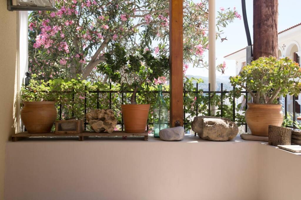Villa Kostas' House Argostoli Exterior foto
